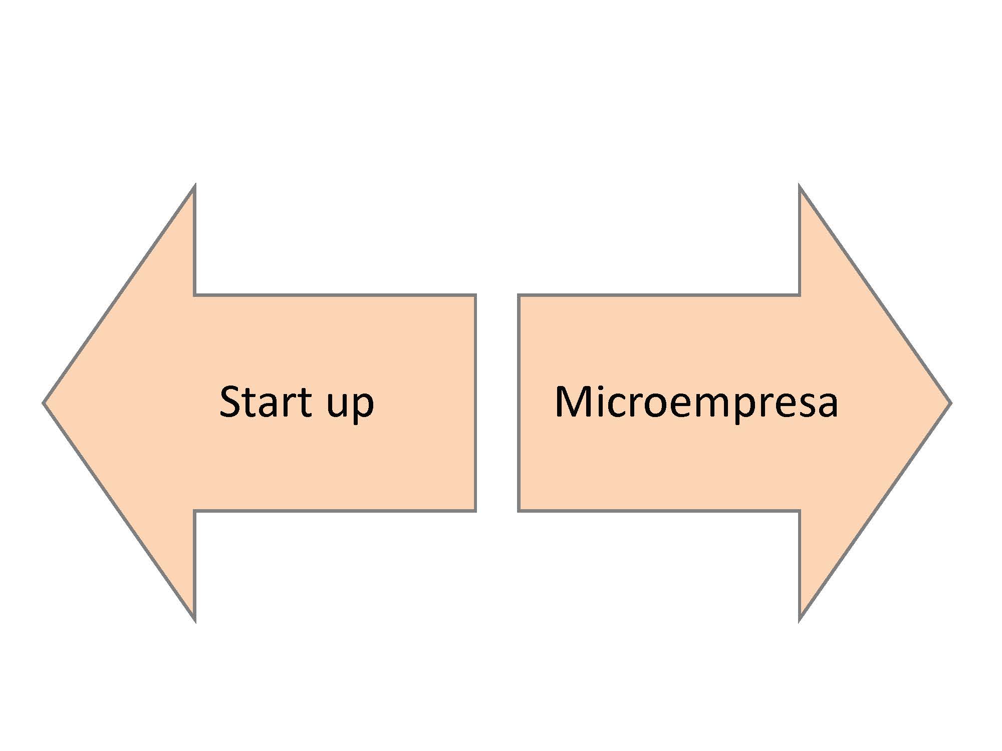 Start up y micropyme Elisabet Bach