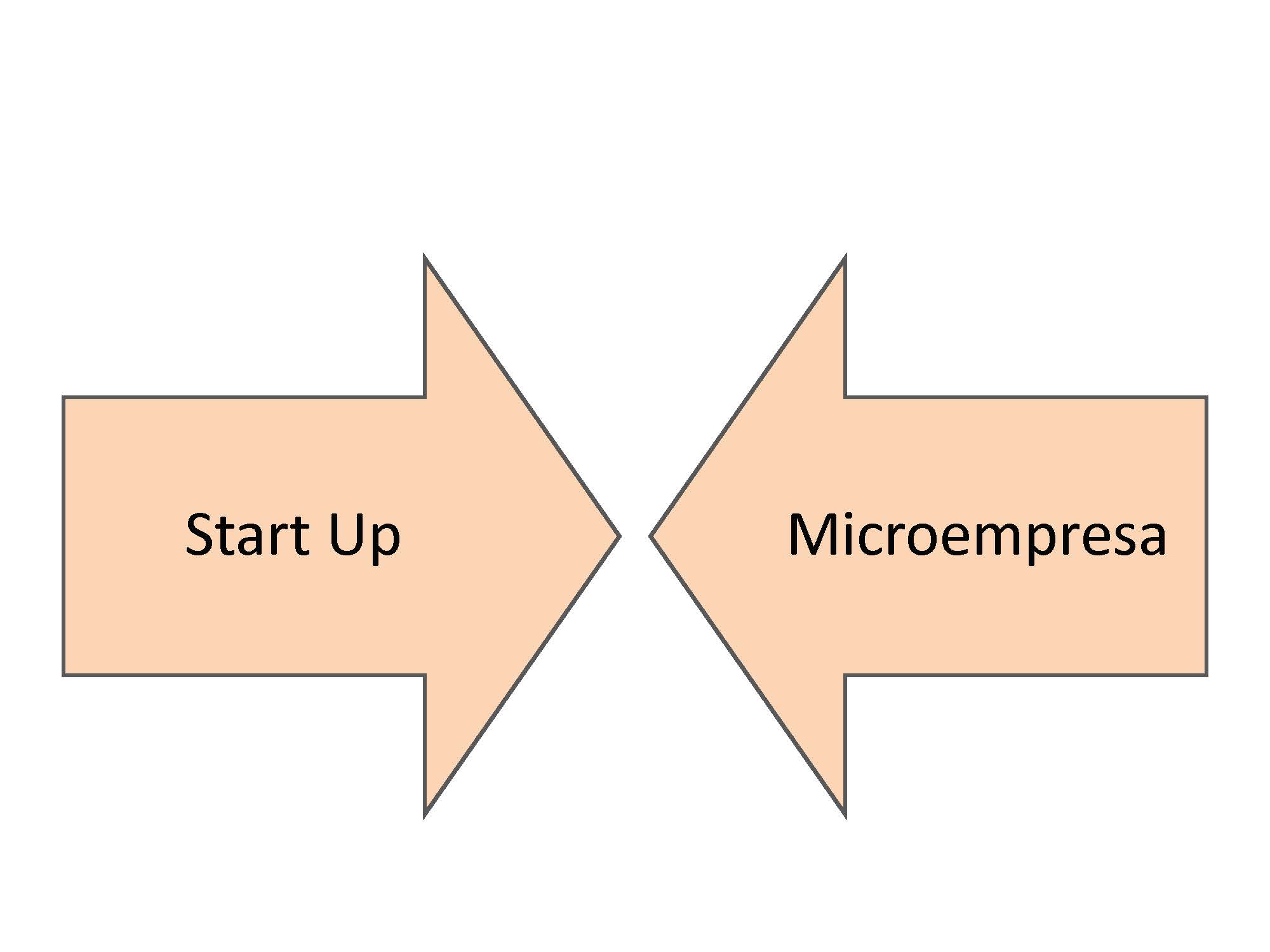 Start ups i micropimes: en què s'assemblen Elisabet Bach